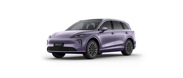 Front-left 45-degree ID image of the Shangjie H5 Frozen Night Purple Pro Version