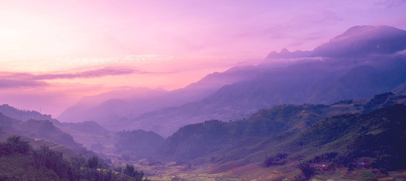 AITO M8 Night Purple