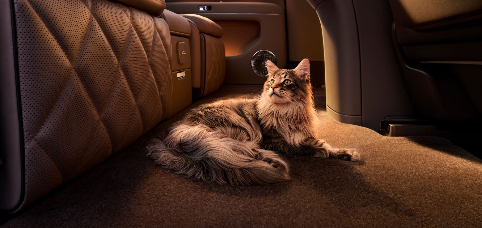 AITO M9 Wool Carpet