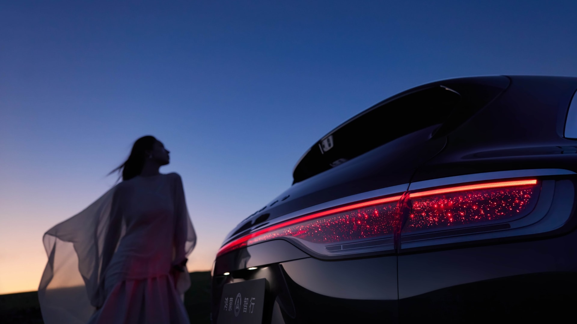 Stelato S9T taillight