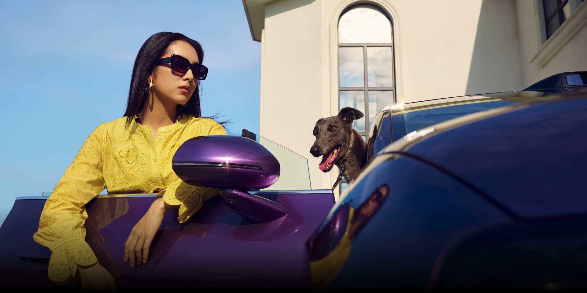 Family and pets inside the Luxeed R7, showing its safety performance 