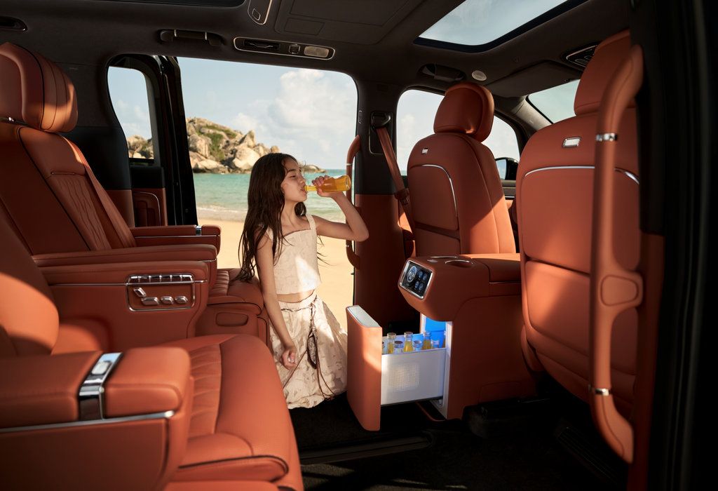 Luxeed V9 Front-and-Rear Dual-Opening 10.9 L Cooler-Warmer Box